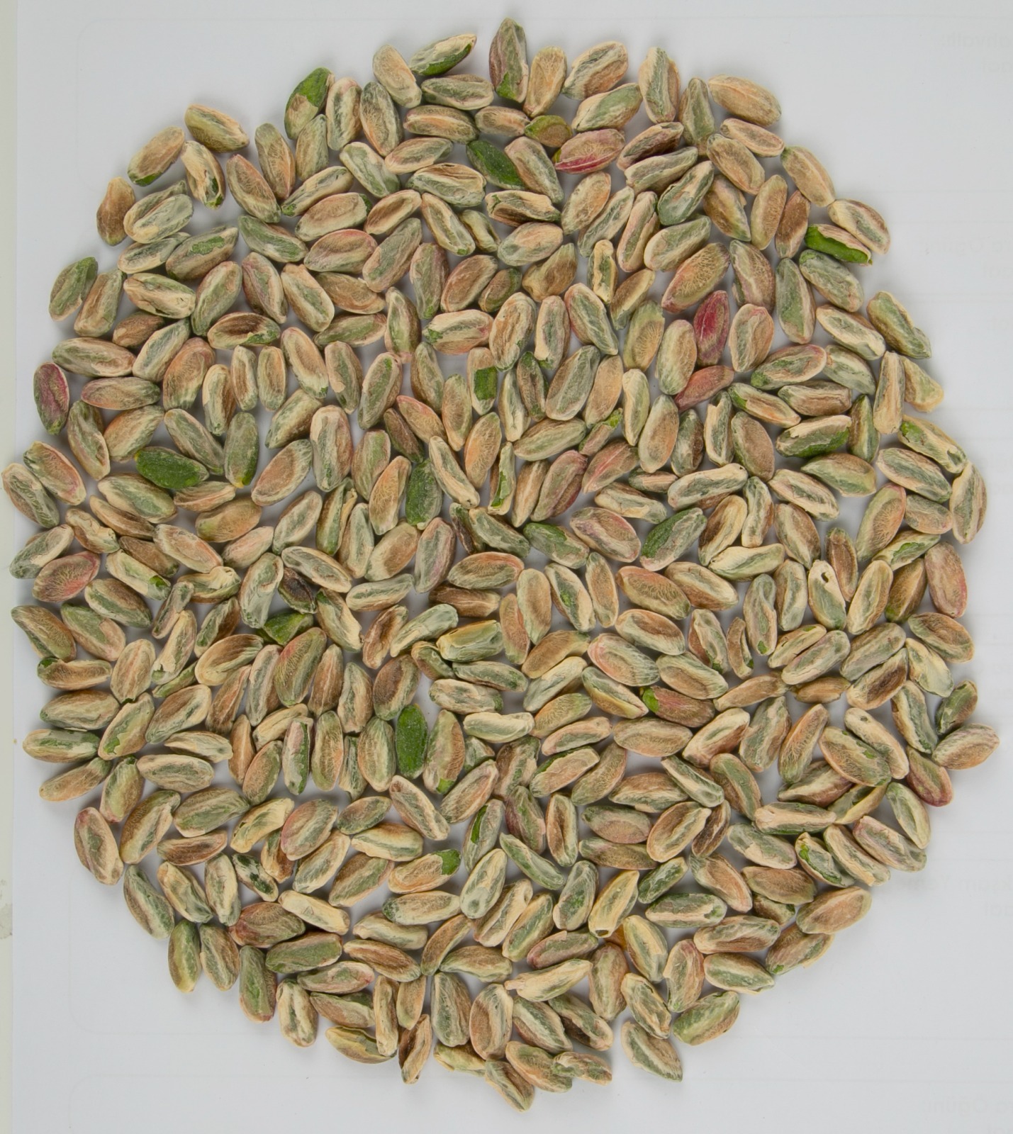 Gaziantep Pistachio Paste & Cream